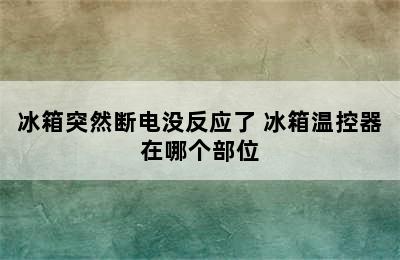 冰箱突然断电没反应了 冰箱温控器在哪个部位